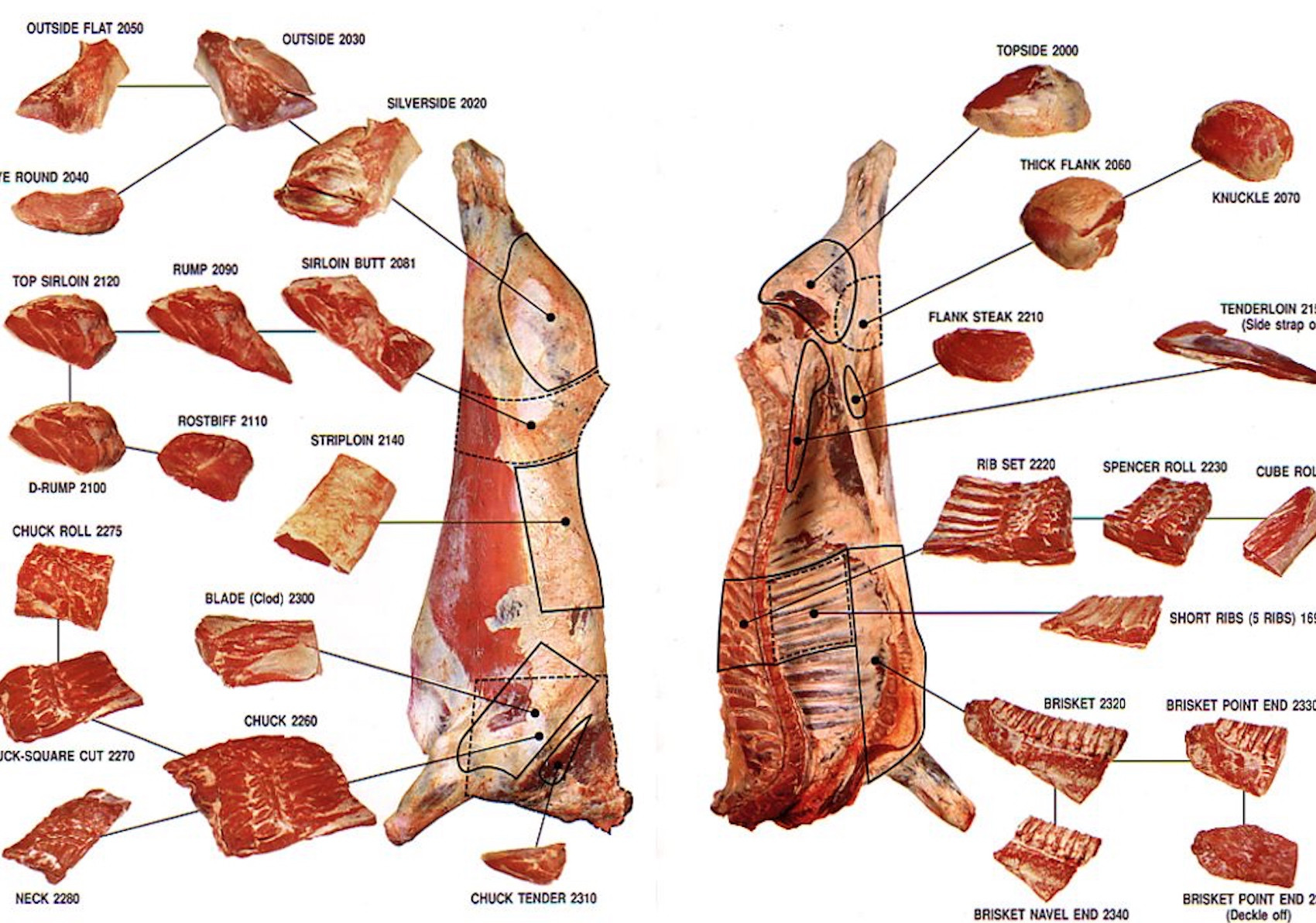  Beef Quarters